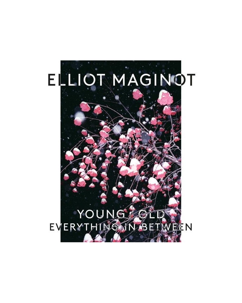 Elliot Maginot Young/Old/Everything.In.Between - LP Vinyl $8.60 Vinyl