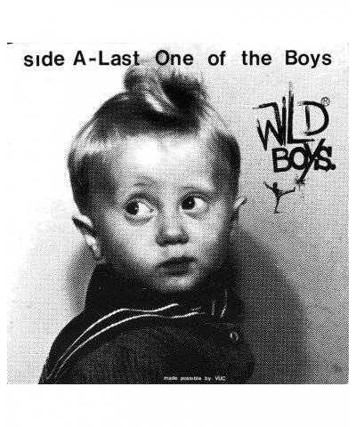 Wild Ones Wild Boys - Last One Of The Boys / We're Only Vinyl Record $5.50 Vinyl